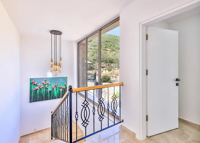Elit Serenity -